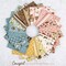 Leather in Brown (c17485-brown) | Cowgirl | Echo Park Paper Co | Riley Blake